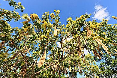 IGN编辑哀叹索尼没给《星鸣特攻》机会：本来能变好