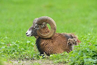 《糖豆人》免费领取教程送上，迅游免费20天加速